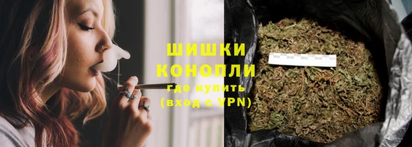 гашик Каменка