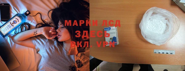 гашик Каменка