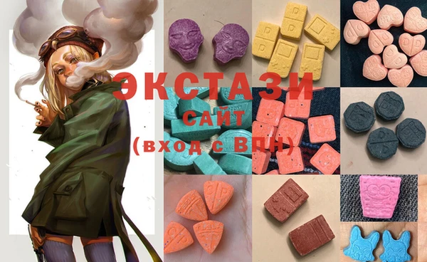гашик Каменка