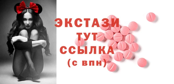 гашик Каменка