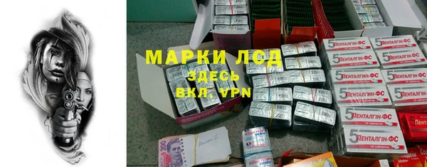 гашик Каменка