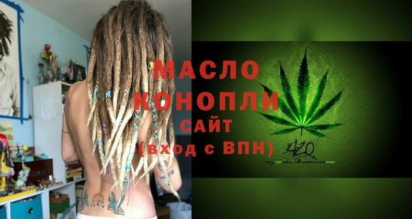 гашик Каменка