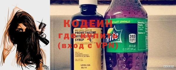 гашик Каменка