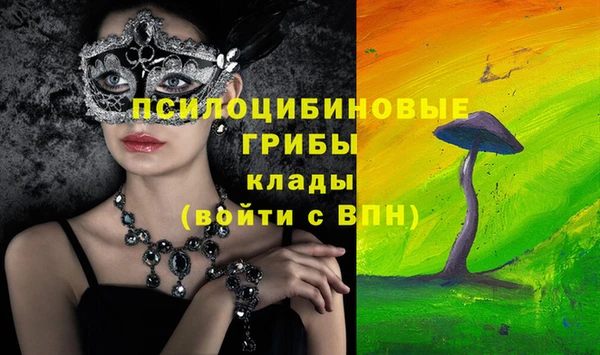 Альфа ПВП Каменногорск