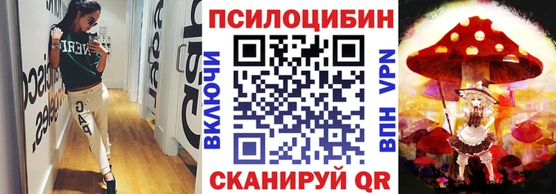 Псилоцибиновые грибы Psilocybe  Динская 