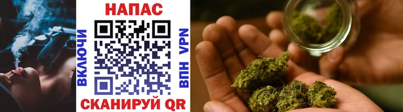 Канабис OG Kush  Динская 